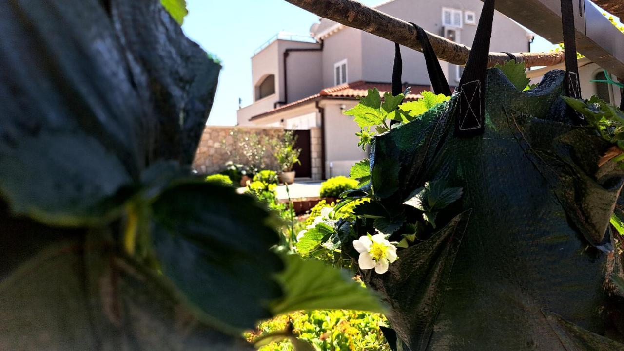 Dubrovnik Airport Apartment Tea Durovici ภายนอก รูปภาพ